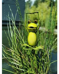 Yoga Frogs - Der Lotus Stretch,Gartenstecker,klein
